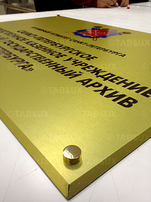 Табличка фасадная для госучреждения
